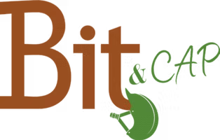 Bit Cap